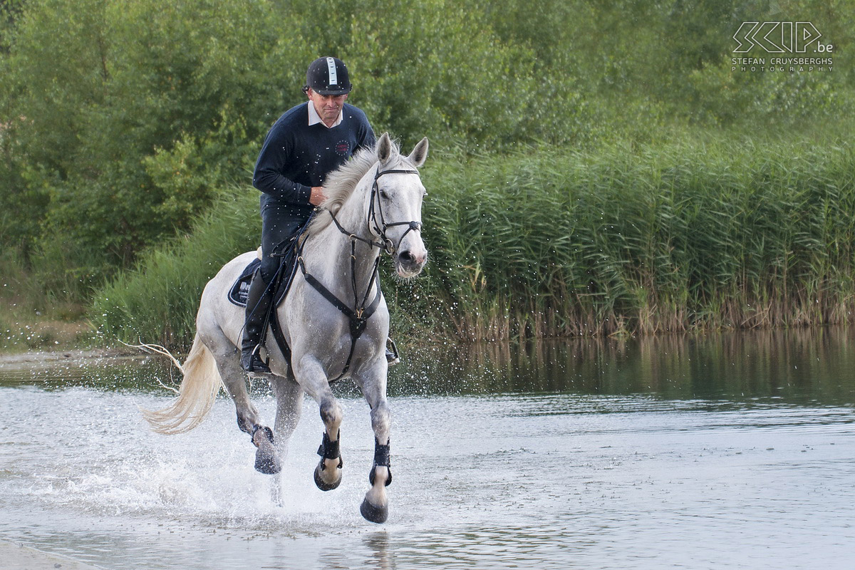 Running horses On the last day of July our photo club ISO400 had a great photo-shoot in the nature reserve the Sahara in Lommel. 4 people of a local horse stable came with their beautiful horses to run through the water and in the white sand which resulted in some great action photos. Stefan Cruysberghs